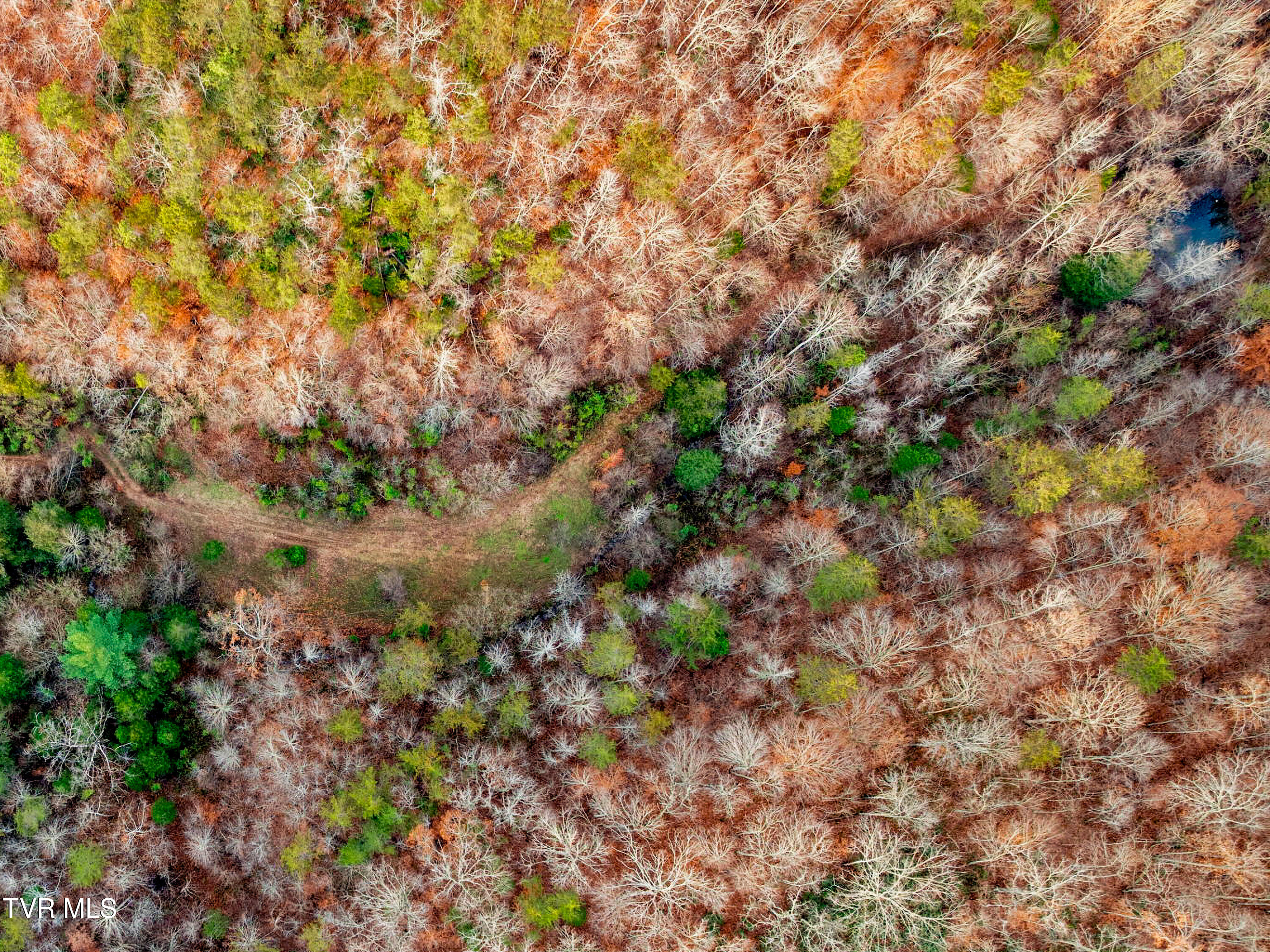 Tbd Panther Creek Road Sneedville, TN 37869 - Photo 28 of 48 18-web-or-mls-3206 Panther Creek Rd-16-3