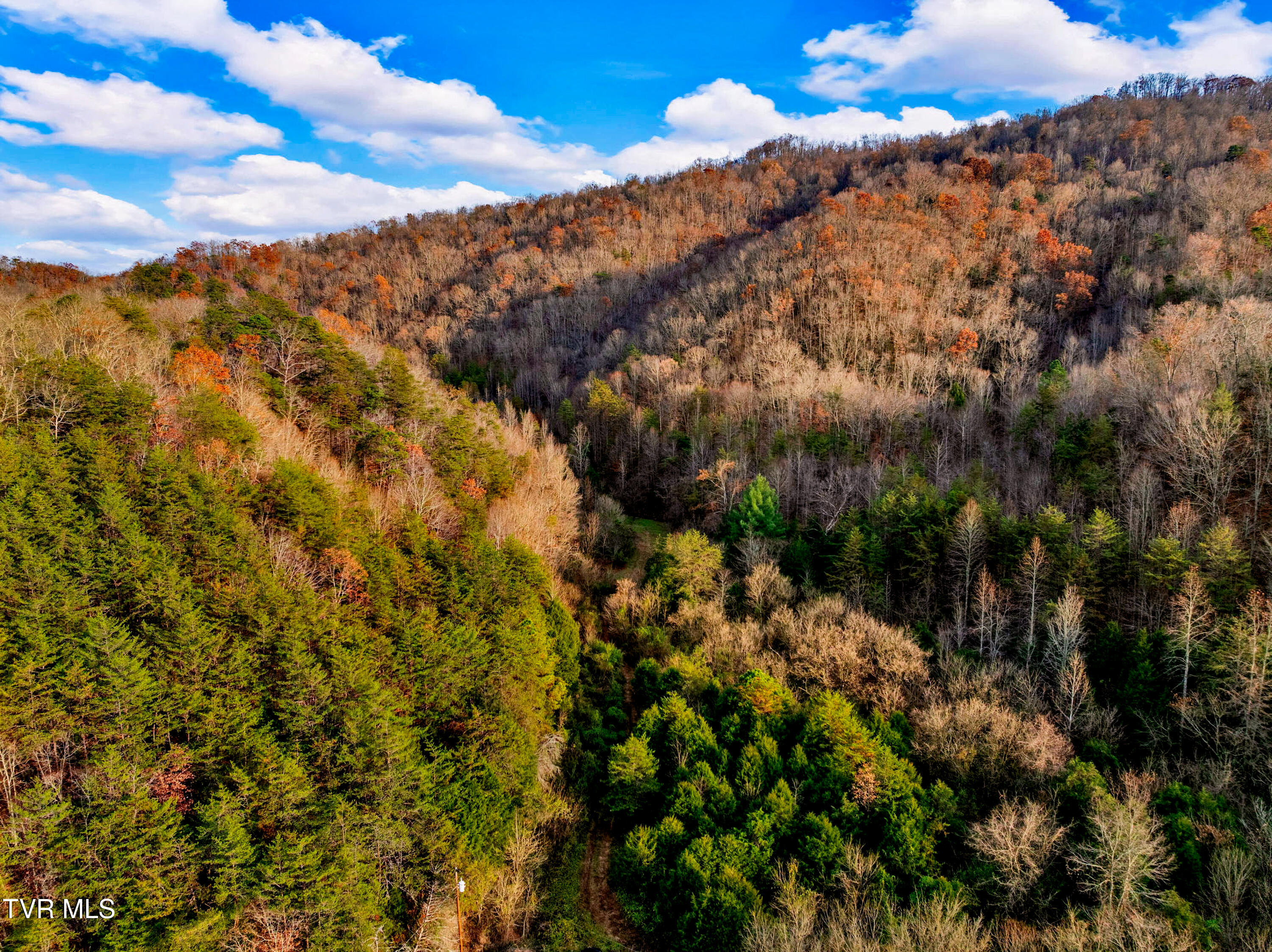 Tbd Panther Creek Road Sneedville, TN 37869 - Photo 31 of 48 20-web-or-mls-3206 Panther Creek Rd-1