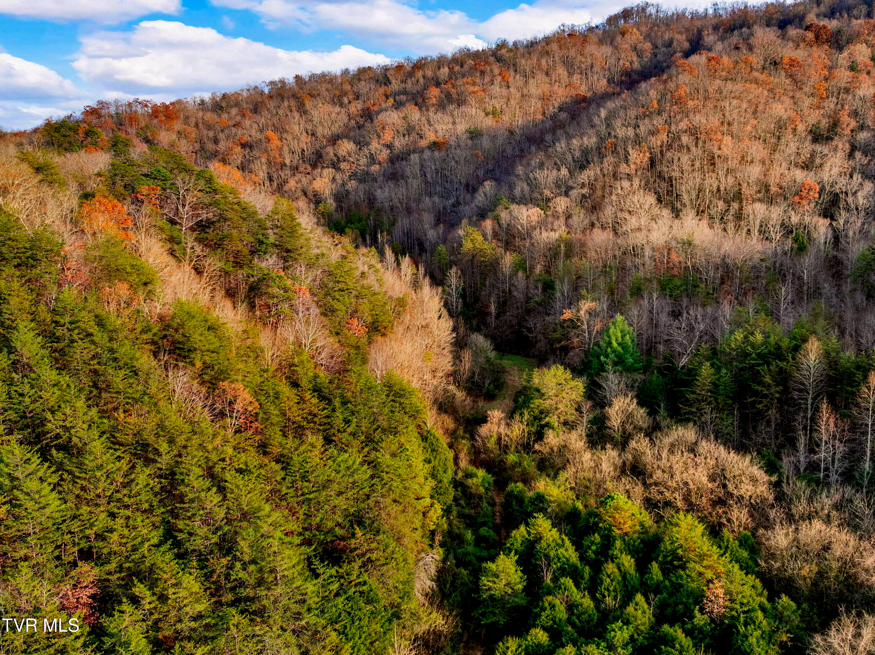 Tbd Panther Creek Road Sneedville, TN 37869 - Photo 39 of 48 20-web-or-mls-3206 Panther Creek Rd-1-3