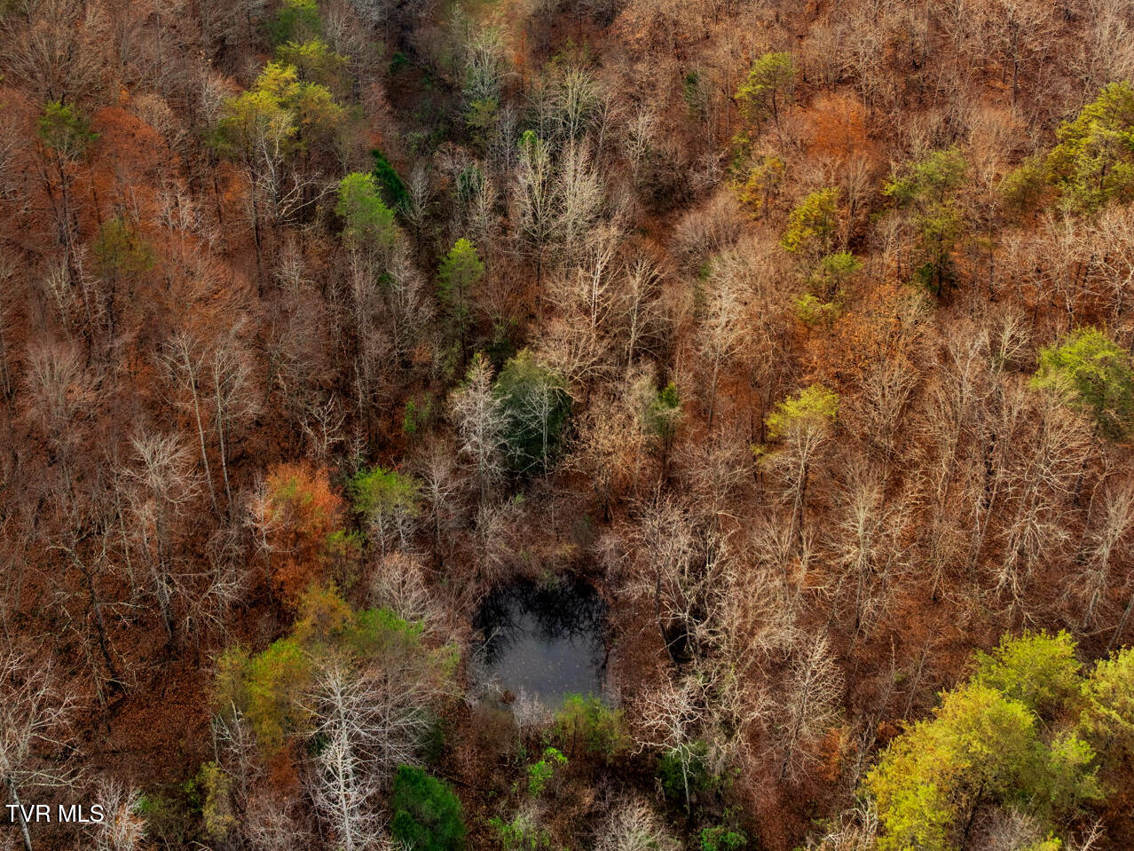 Tbd Panther Creek Road Sneedville, TN 37869 - Photo 40 of 48 21-web-or-mls-3206 Panther Creek Rd-8-2