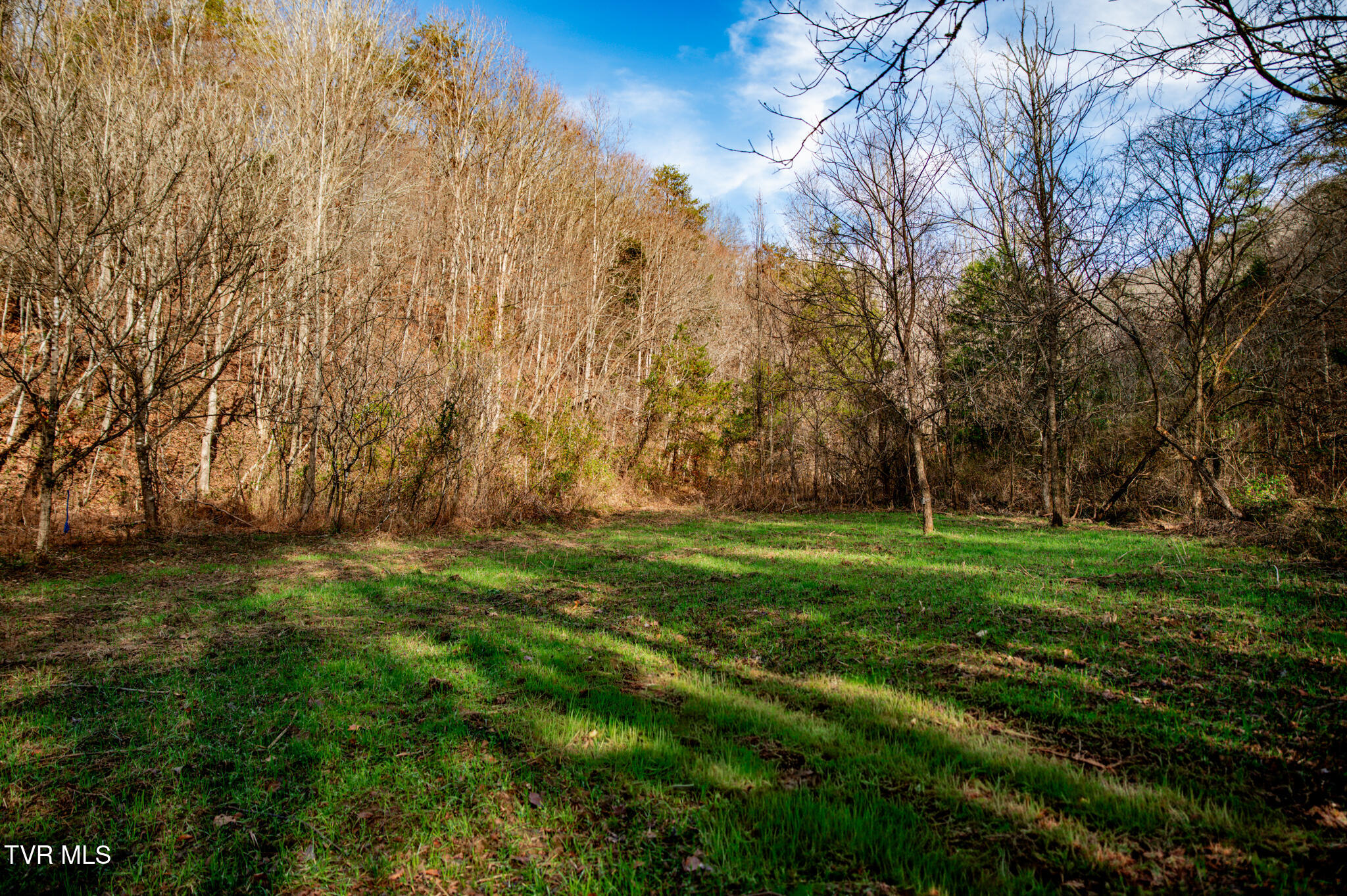 Tbd Panther Creek Road Sneedville, TN 37869 - Photo 4 of 48 CF2_1010