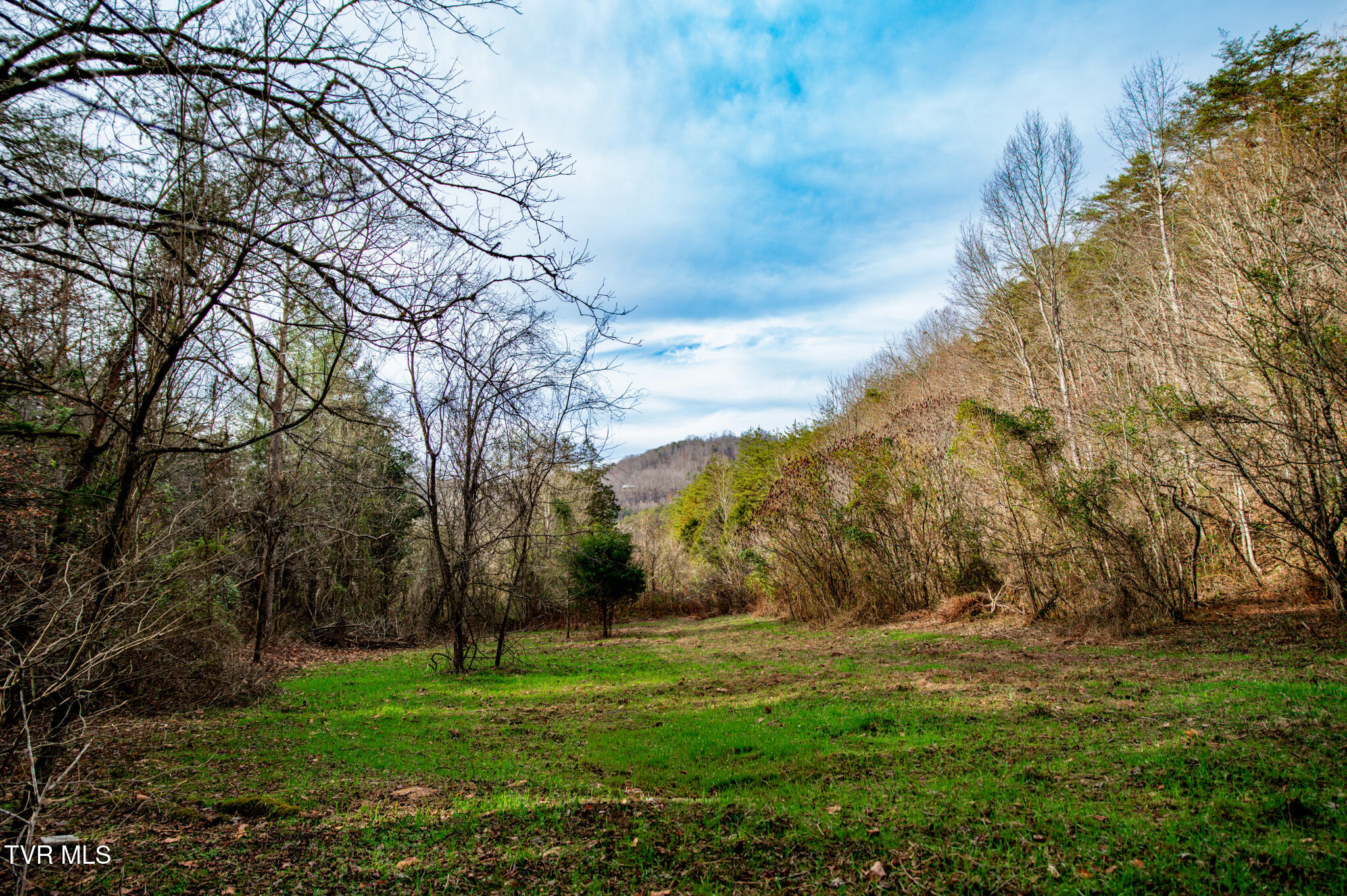 Tbd Panther Creek Road Sneedville, TN 37869 - Photo 46 of 48 CF2_1017-2