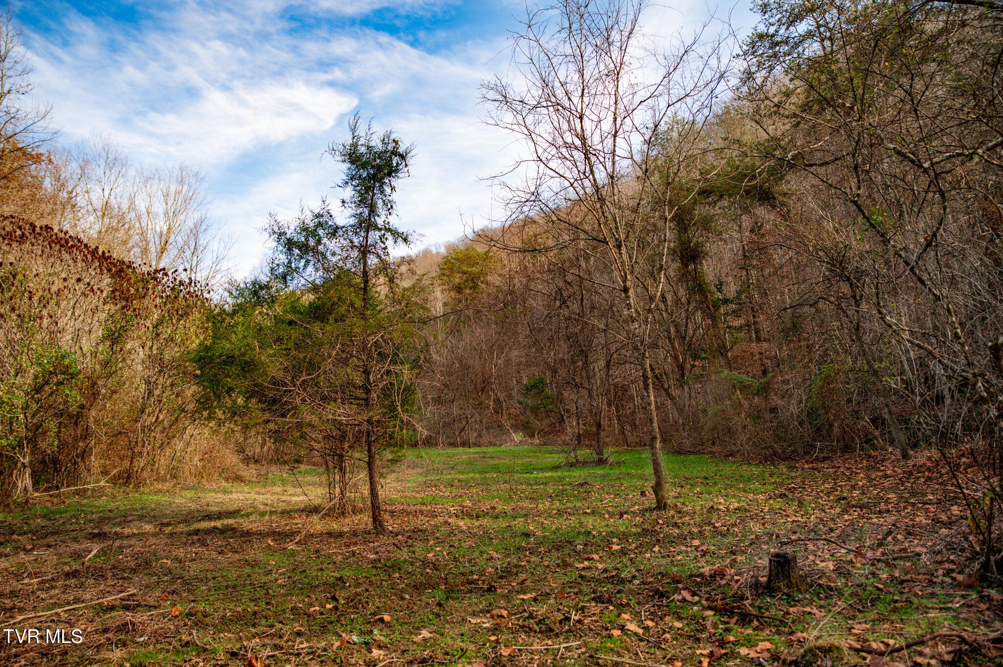 Tbd Panther Creek Road Sneedville, TN 37869 - Photo 48 of 48 CF2_1000