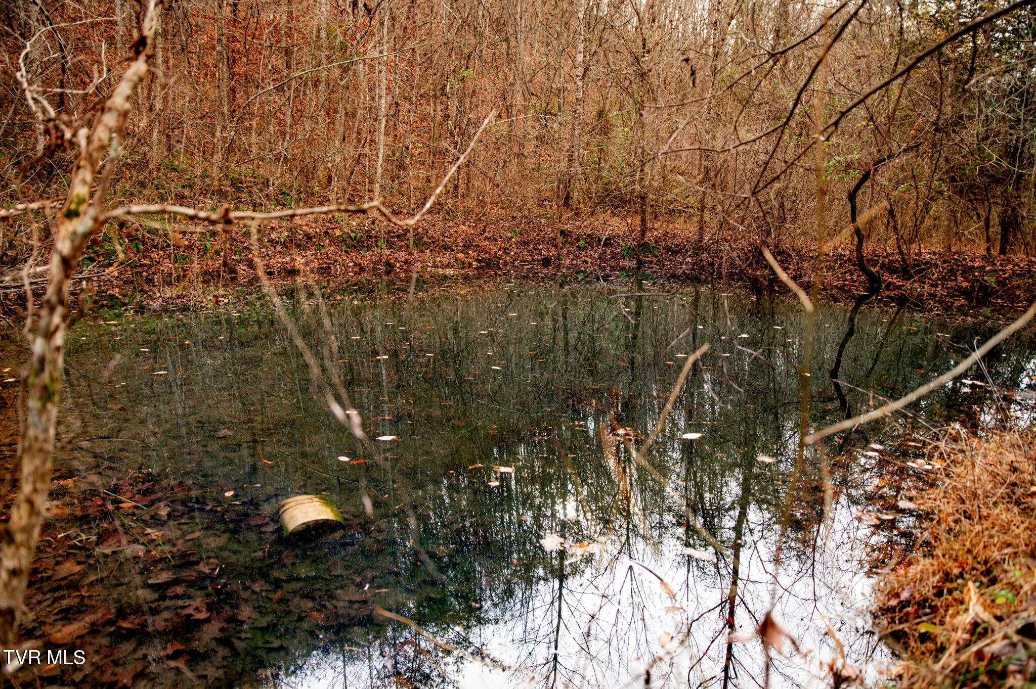 Tbd Panther Creek Road Sneedville, TN 37869 - Photo 6 of 48 CF2_1033