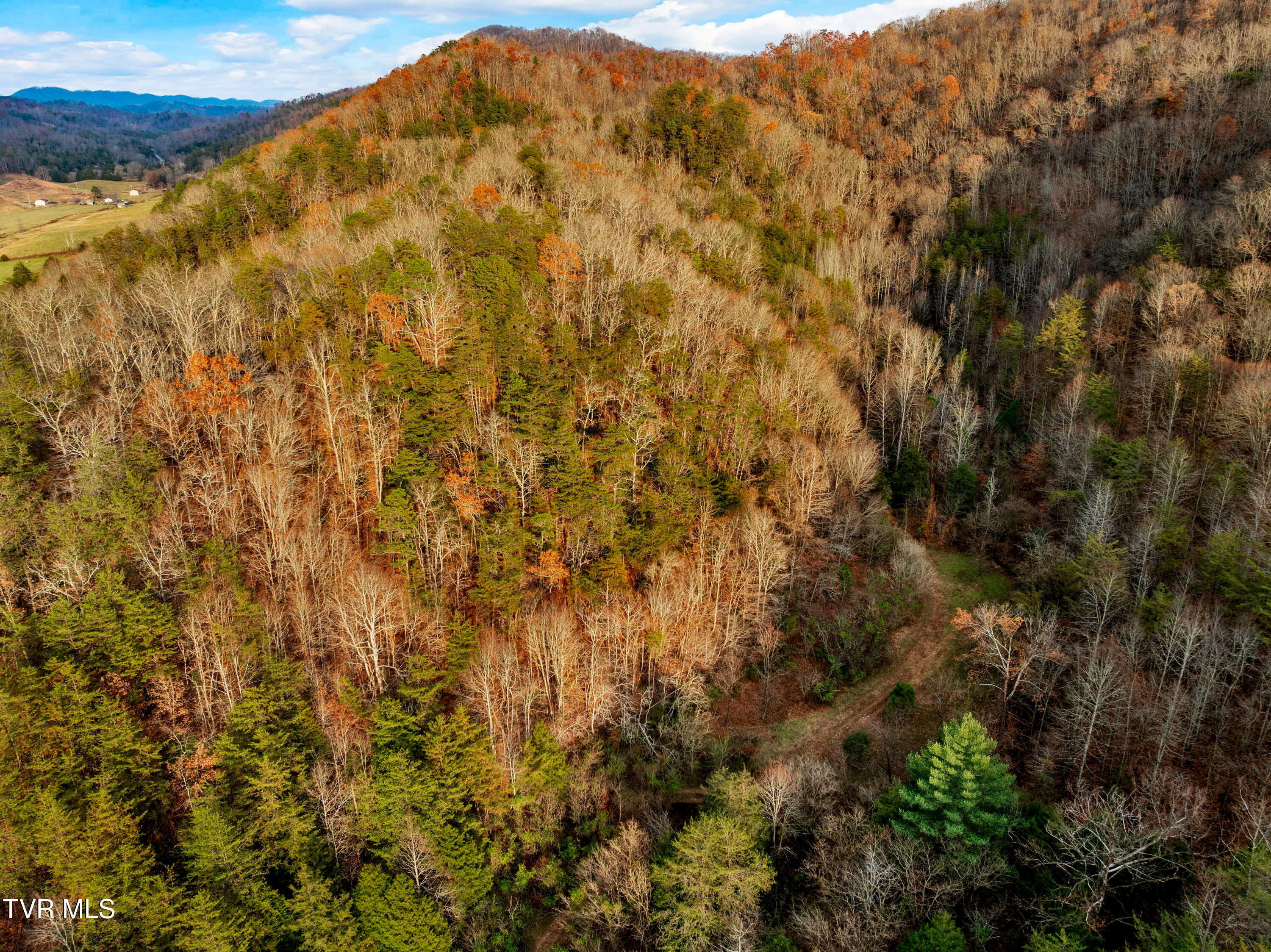 Tbd Panther Creek Road Sneedville, TN 37869 - Photo 7 of 48 5-web-or-mls-3206 Panther Creek Rd-10