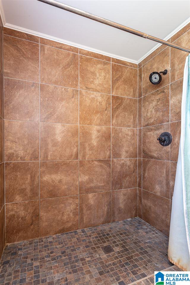 3663 Tidwell Hollow Road Oneonta, AL 35121 - Photo 22 of 41