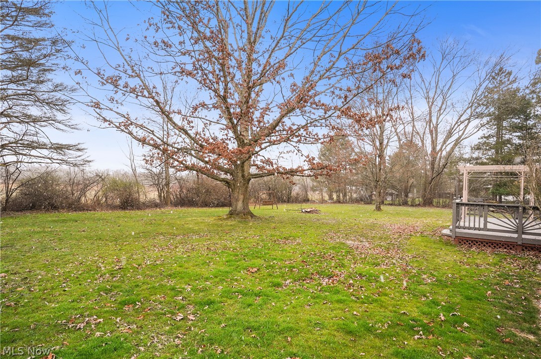 12326 Huntoon Road Painesville, OH 44077 - Photo 9 of 38 View of yard