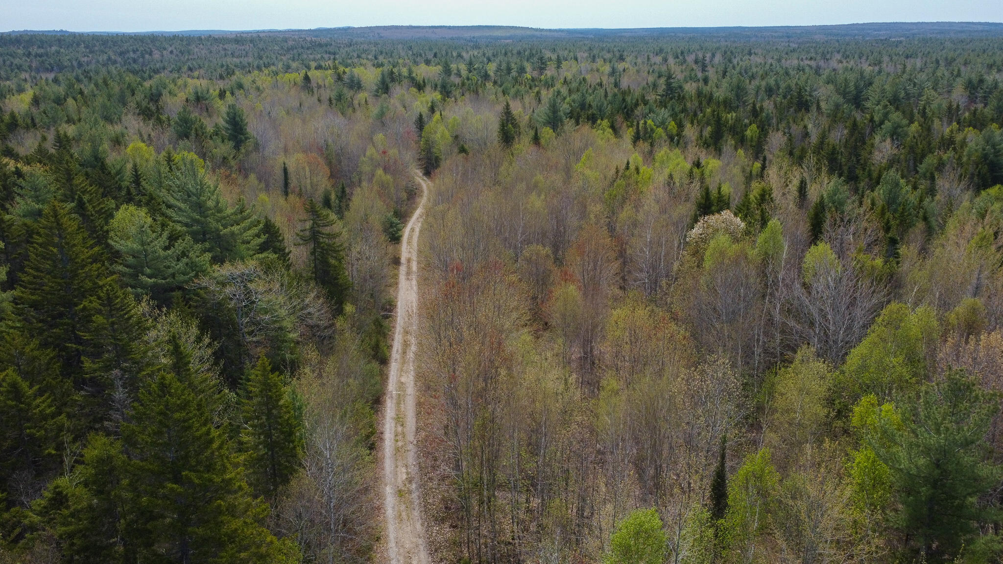 Lot 5 Trickle Brook Road Cherryfield, ME 04622 - Photo 1 of 12 1