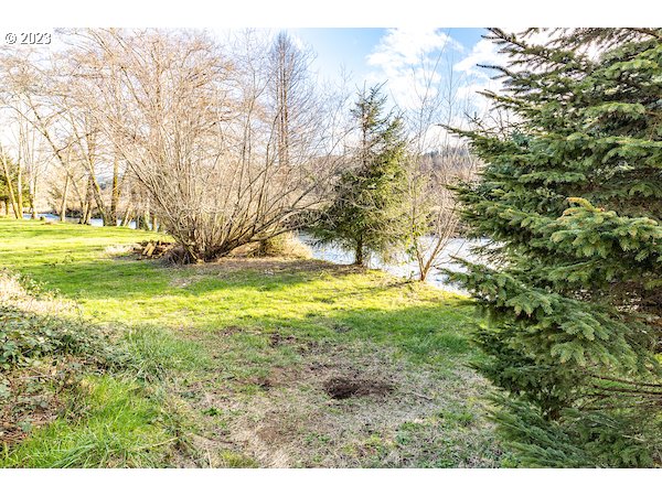 1028 North River Bend Road Otis, OR 97368 - Photo 21 of 22 Yard