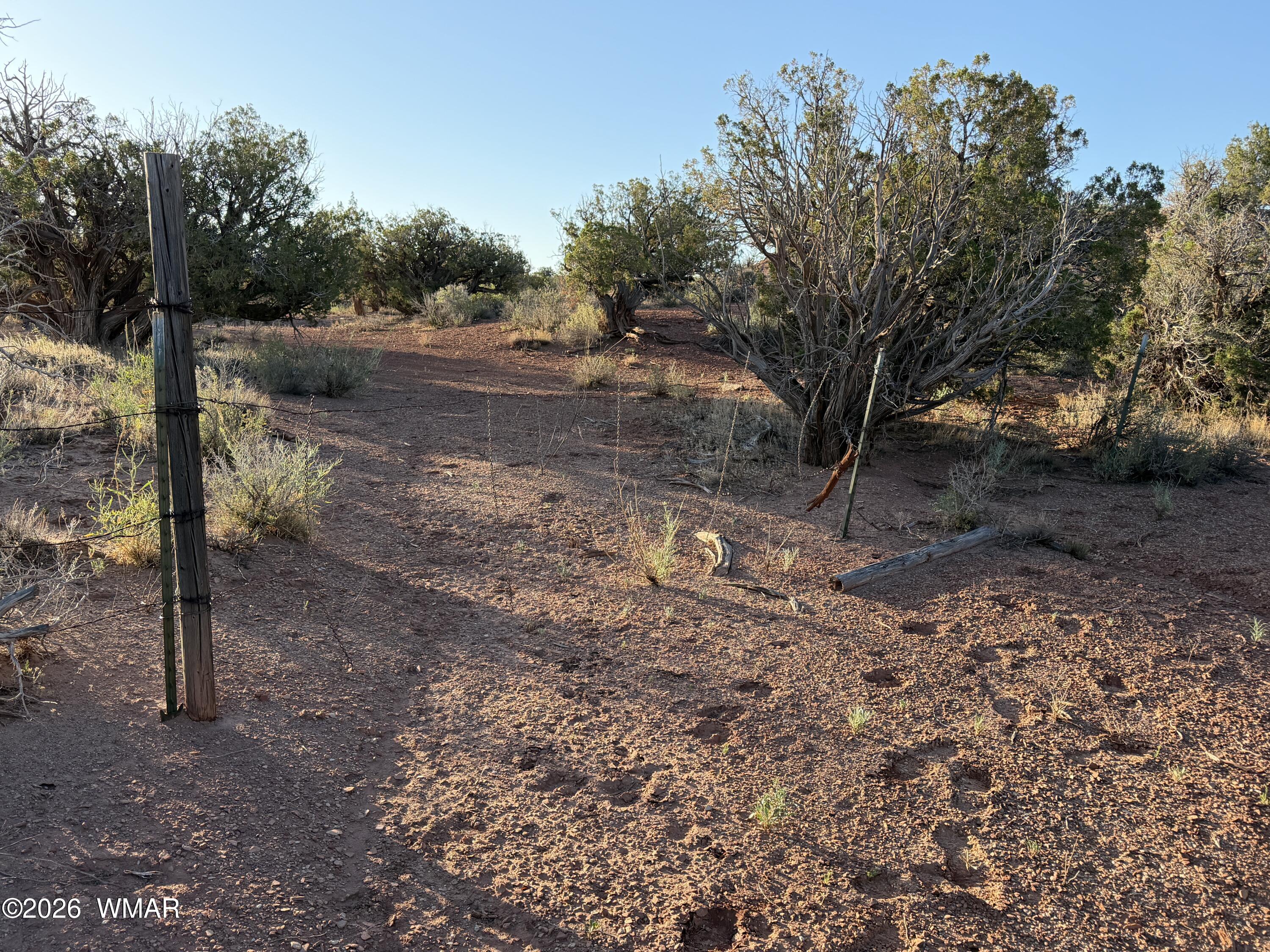 3791 Anasazi Road Snowflake, AZ 85937 - Photo 14 of 19 a view of a yard with plants and trees