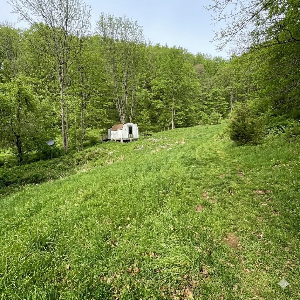 3259 Julia Road Renick, WV 24966 - Photo 5 of 37 pic 5