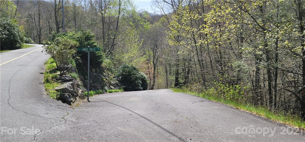 Off Angel Falls Trail Maggie Valley, NC 28751 - Photo 2 of 15 a view of a garden with a pathway