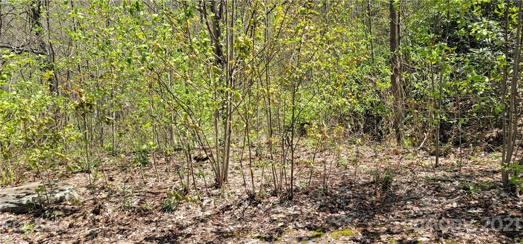 Off Angel Falls Trail Maggie Valley, NC 28751 - Photo 11 of 15
