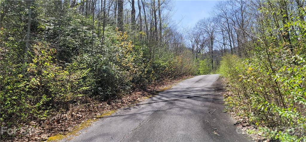 Off Angel Falls Trail Maggie Valley, NC 28751 - Photo 12 of 15 a view of a pathway of a yard