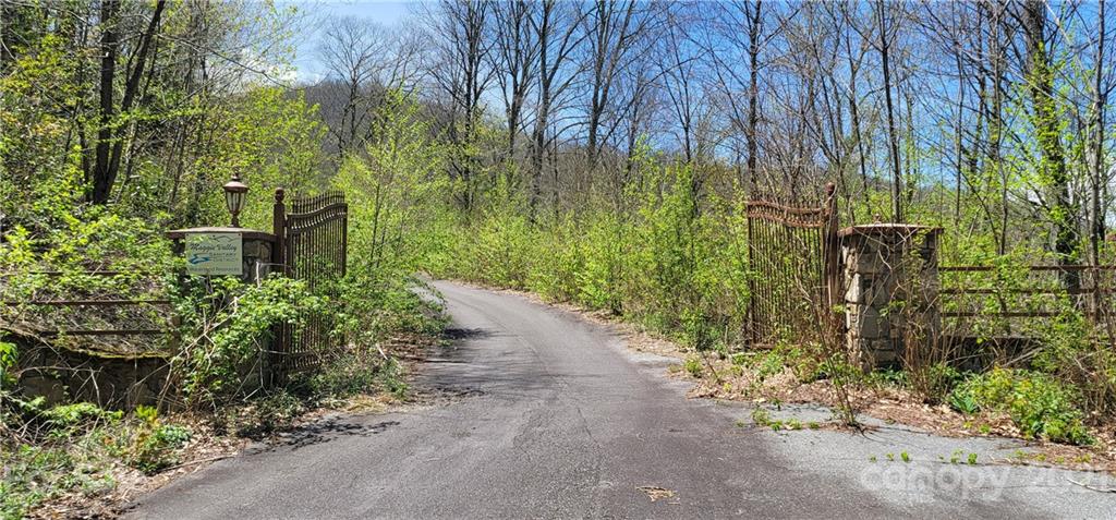 Off Angel Falls Trail Maggie Valley, NC 28751 - Photo 15 of 15 a view of a yard with plants and large trees