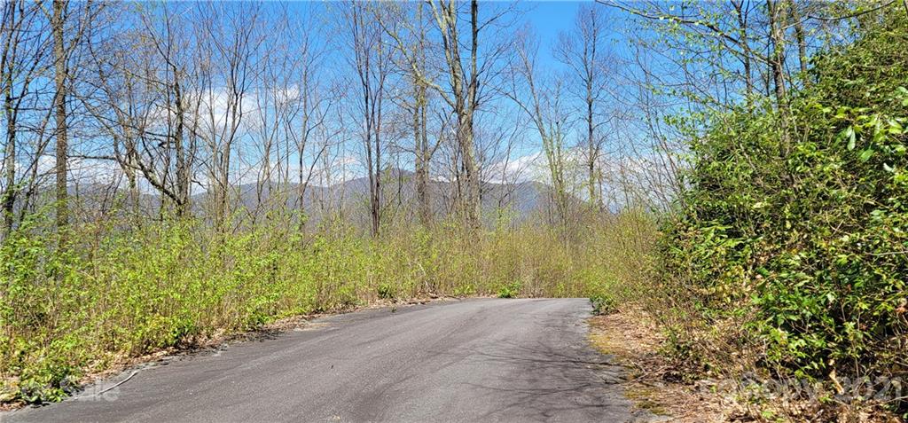 Off Angel Falls Trail Maggie Valley, NC 28751 - Photo 6 of 15 a view of a backyard