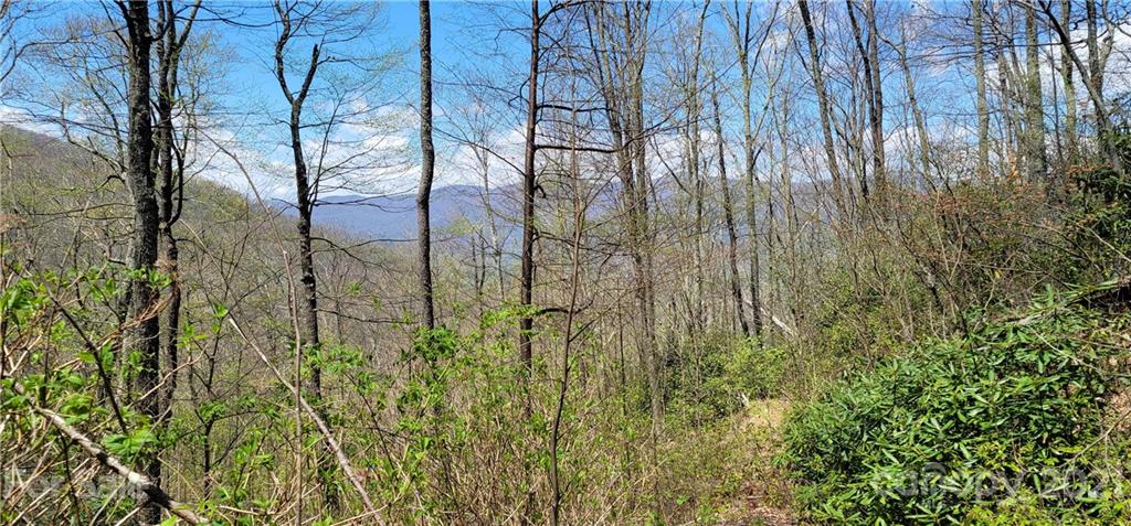 Off Angel Falls Trail Maggie Valley, NC 28751 - Photo 7 of 15