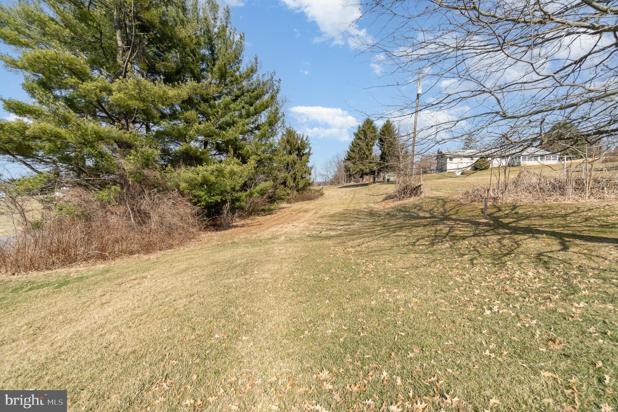 5446 Stambaugh Road Spring Grove, PA 17362 - Photo 27 of 28 Serene pathway through lush greenery.