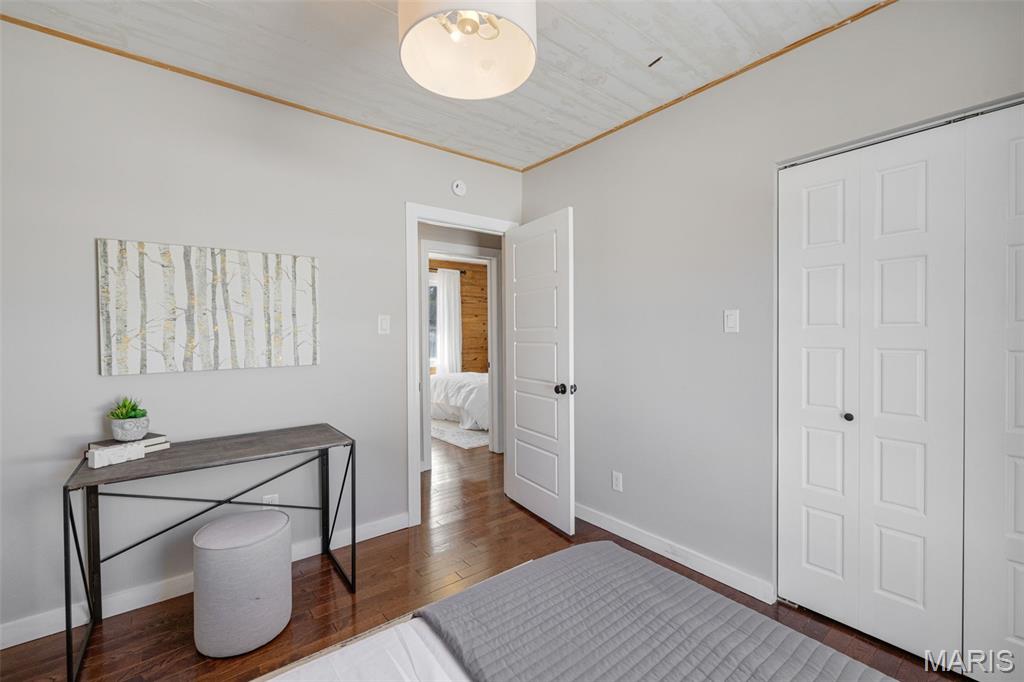 4317 Alma Avenue St. Louis, MO 63116 - Photo 20 of 65