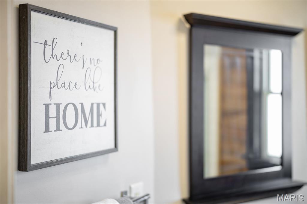 4317 Alma Avenue St. Louis, MO 63116 - Photo 24 of 65