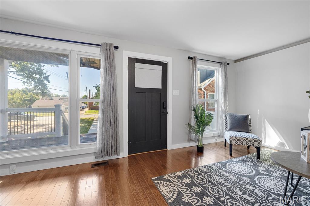 4317 Alma Avenue St. Louis, MO 63116 - Photo 3 of 65