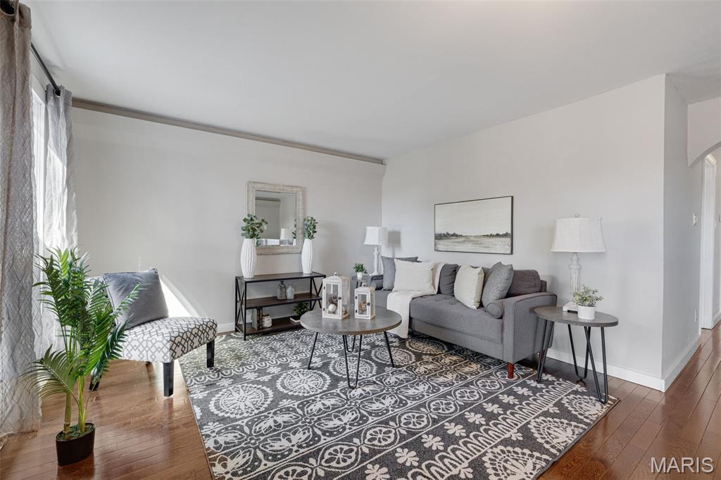 4317 Alma Avenue St. Louis, MO 63116 - Photo 4 of 65