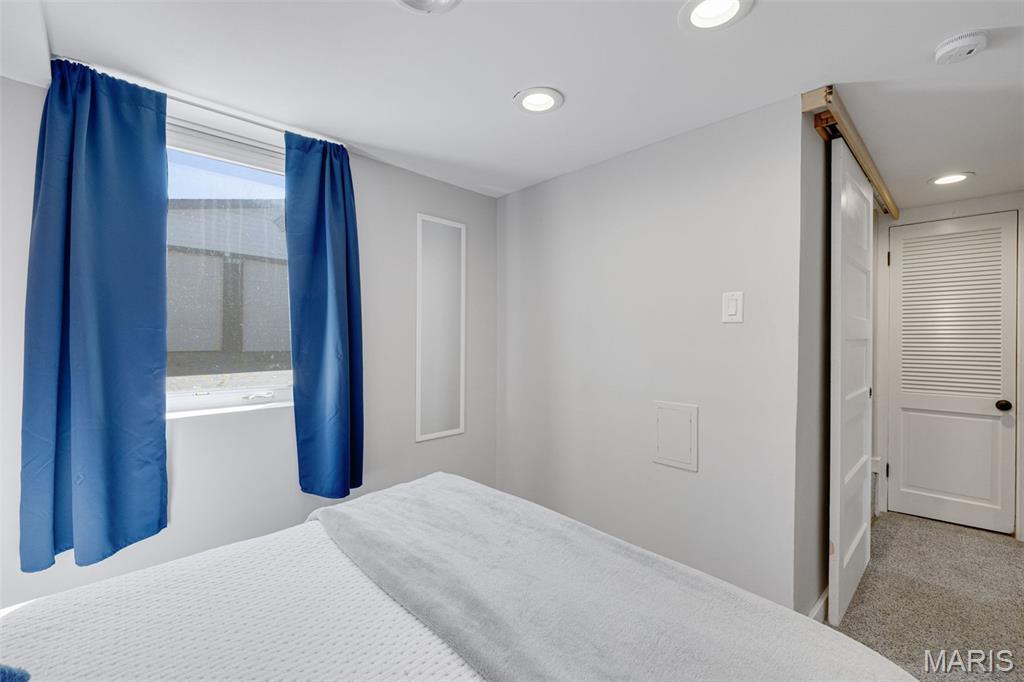 4317 Alma Avenue St. Louis, MO 63116 - Photo 42 of 65