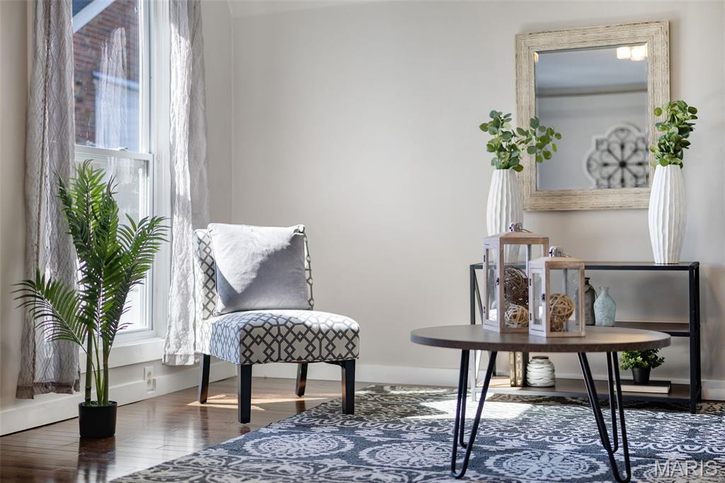 4317 Alma Avenue St. Louis, MO 63116 - Photo 5 of 65