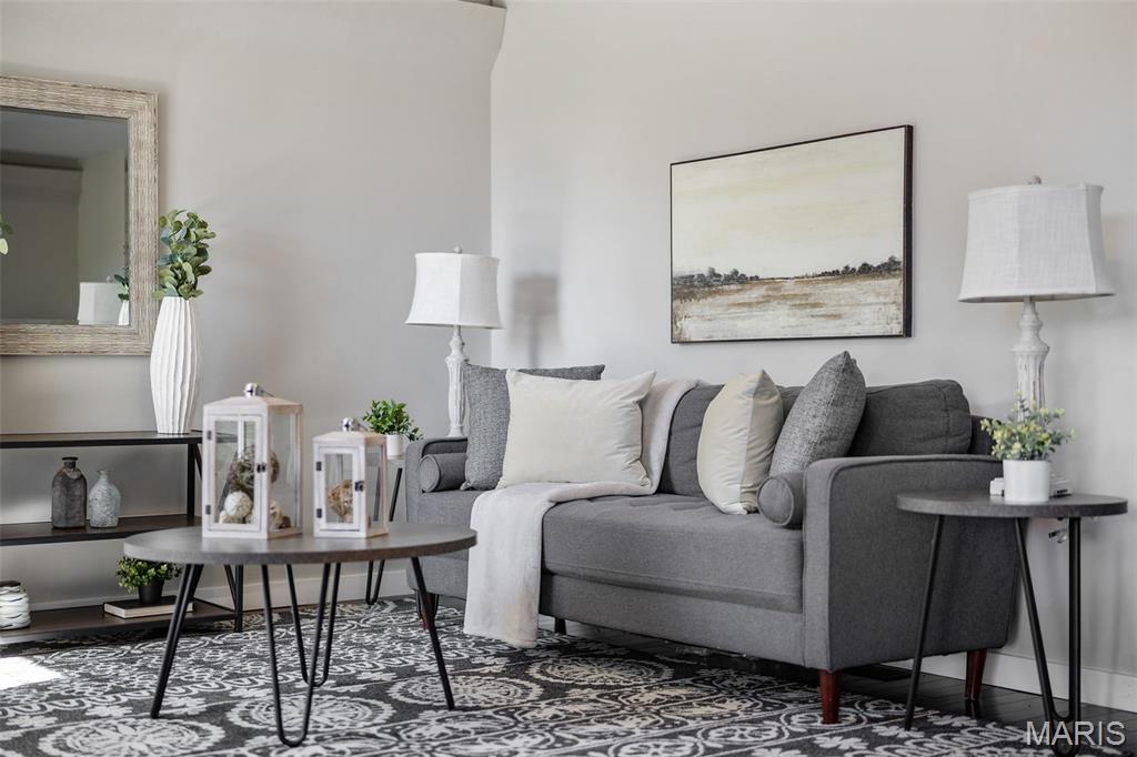 4317 Alma Avenue St. Louis, MO 63116 - Photo 6 of 65