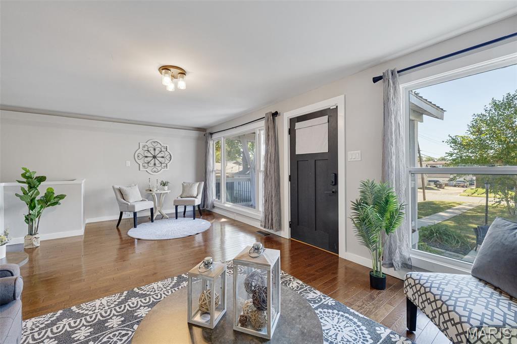 4317 Alma Avenue St. Louis, MO 63116 - Photo 7 of 65