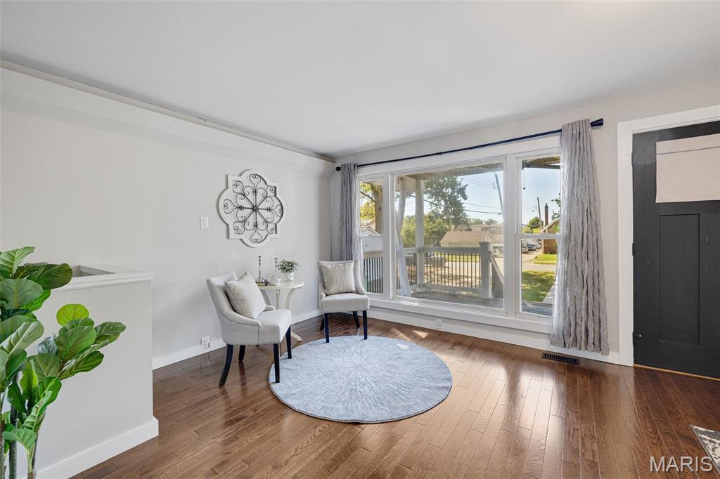 4317 Alma Avenue St. Louis, MO 63116 - Photo 8 of 65