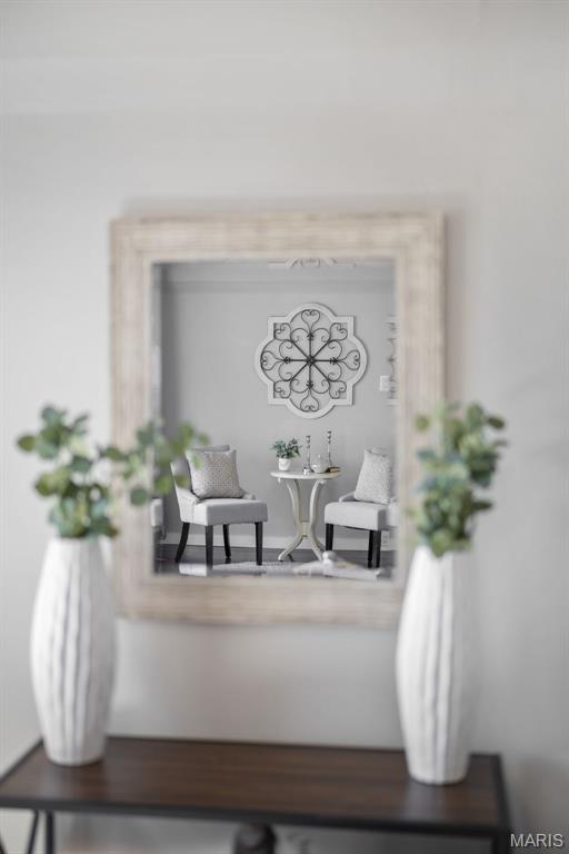 4317 Alma Avenue St. Louis, MO 63116 - Photo 9 of 65