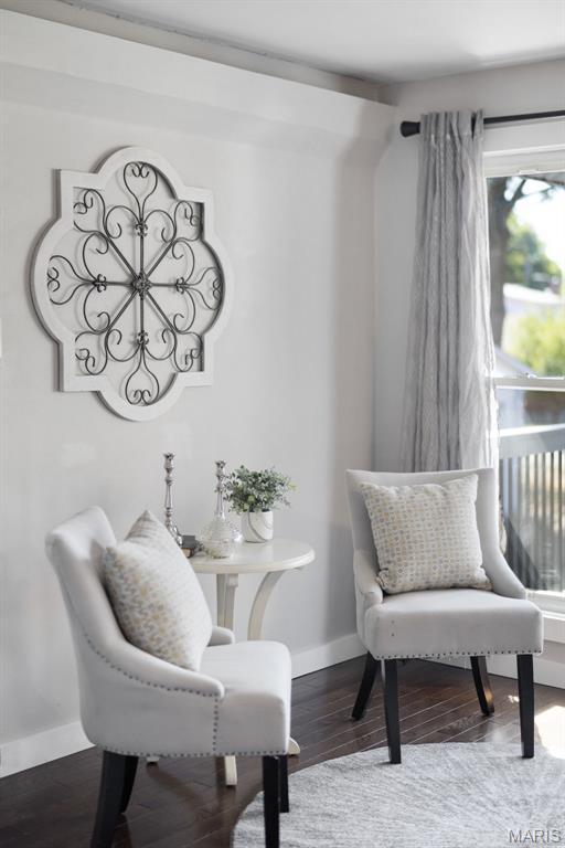 4317 Alma Avenue St. Louis, MO 63116 - Photo 10 of 65