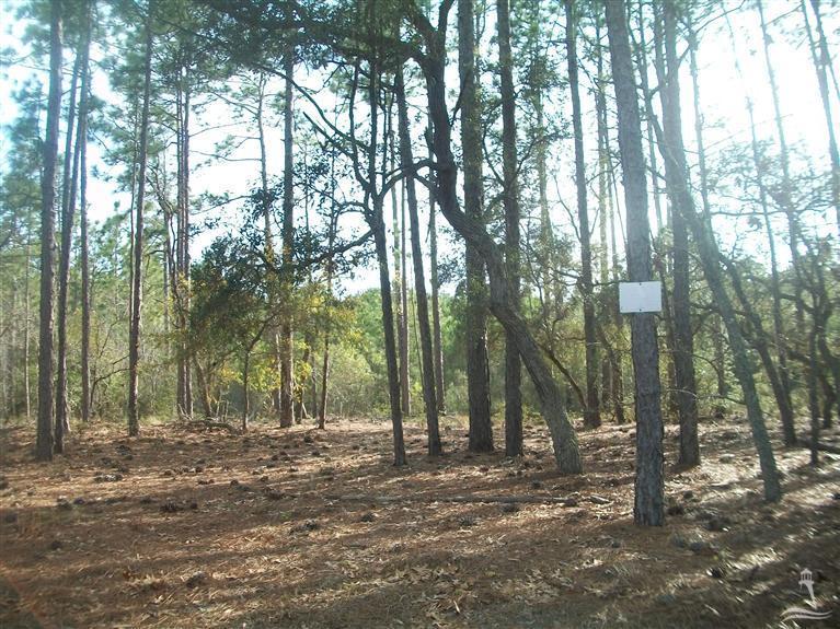2345 Stanley Road Southwest Supply, NC 28462 - Photo 13 of 14 Additional Photo