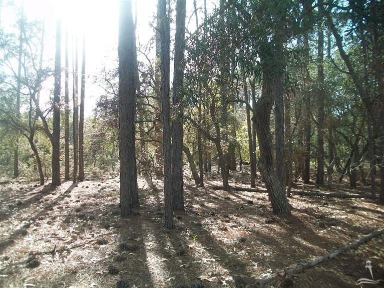2345 Stanley Road Southwest Supply, NC 28462 - Photo 14 of 14 Additional Photo