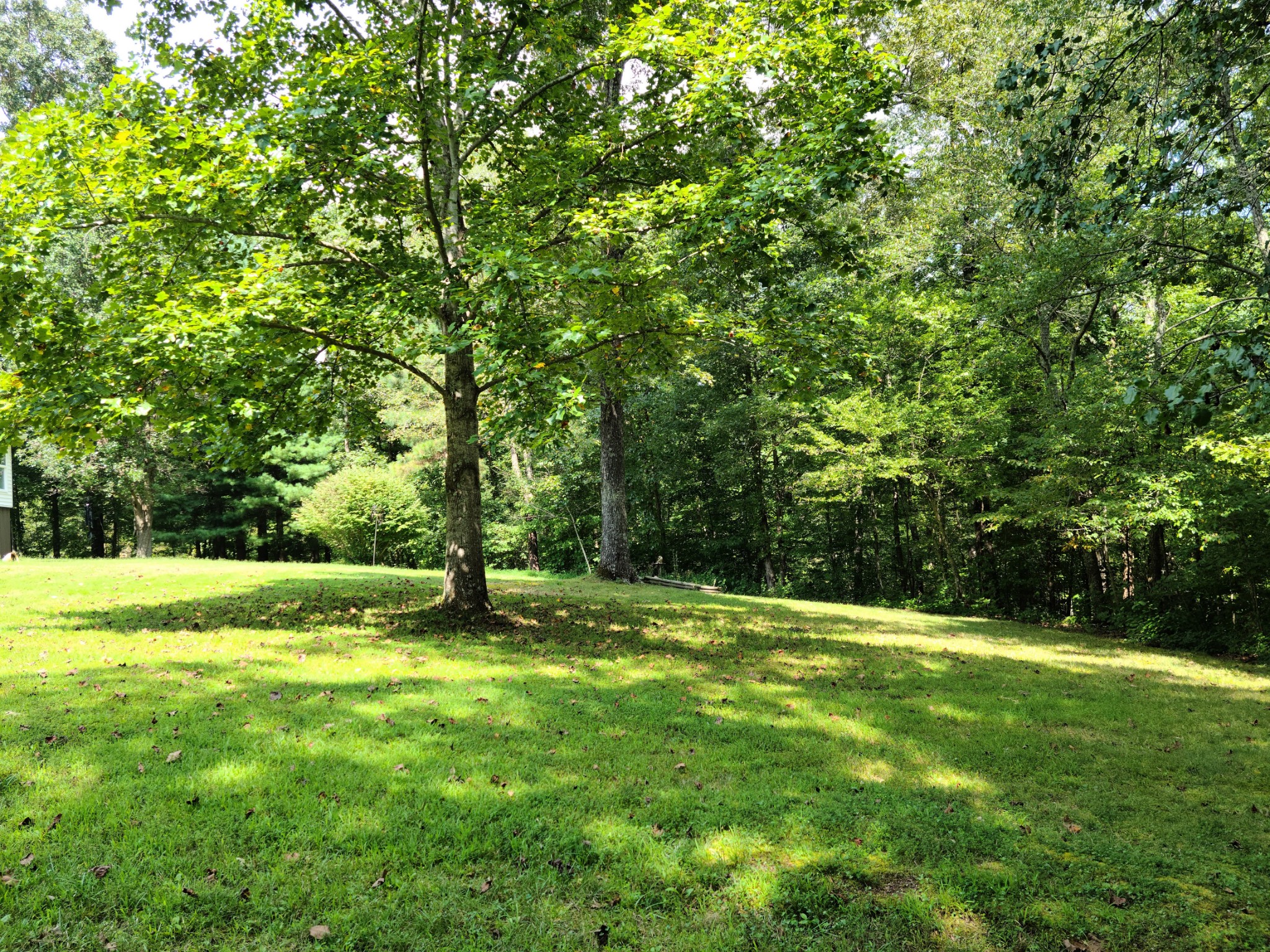 140 Neighbors Road Hohenwald, TN 38462 - Photo 41 of 49 Gallery Image 41