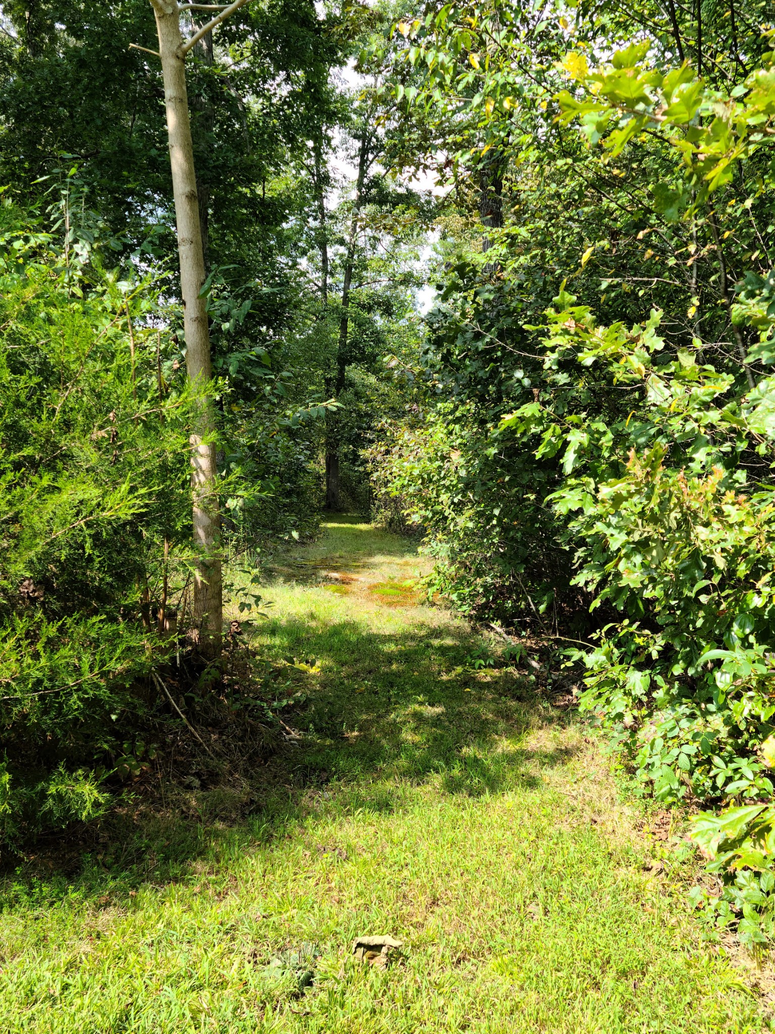 140 Neighbors Road Hohenwald, TN 38462 - Photo 43 of 49 Gallery Image 43