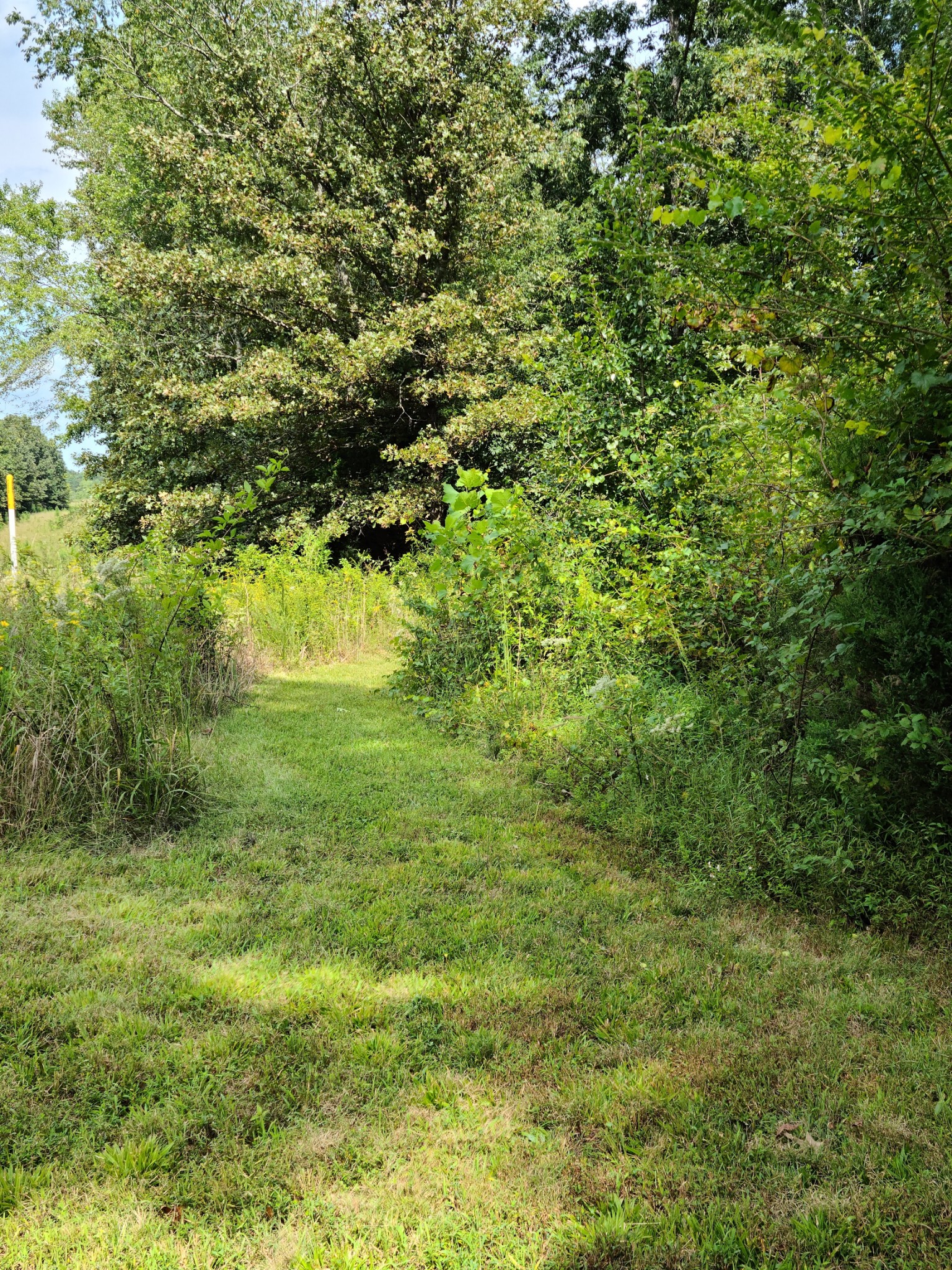 140 Neighbors Road Hohenwald, TN 38462 - Photo 46 of 49 Gallery Image 46