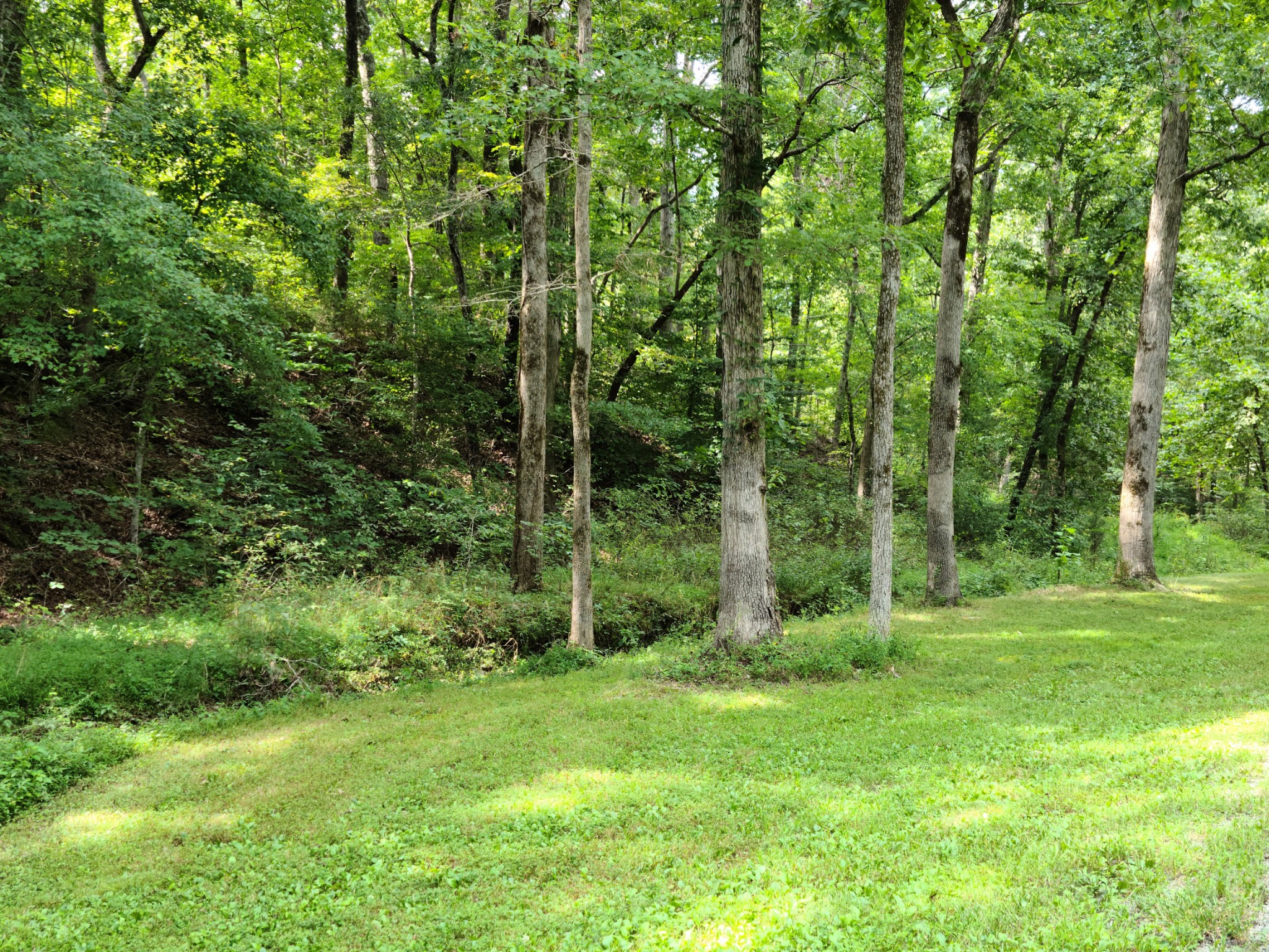 140 Neighbors Road Hohenwald, TN 38462 - Photo 48 of 49 Gallery Image 48