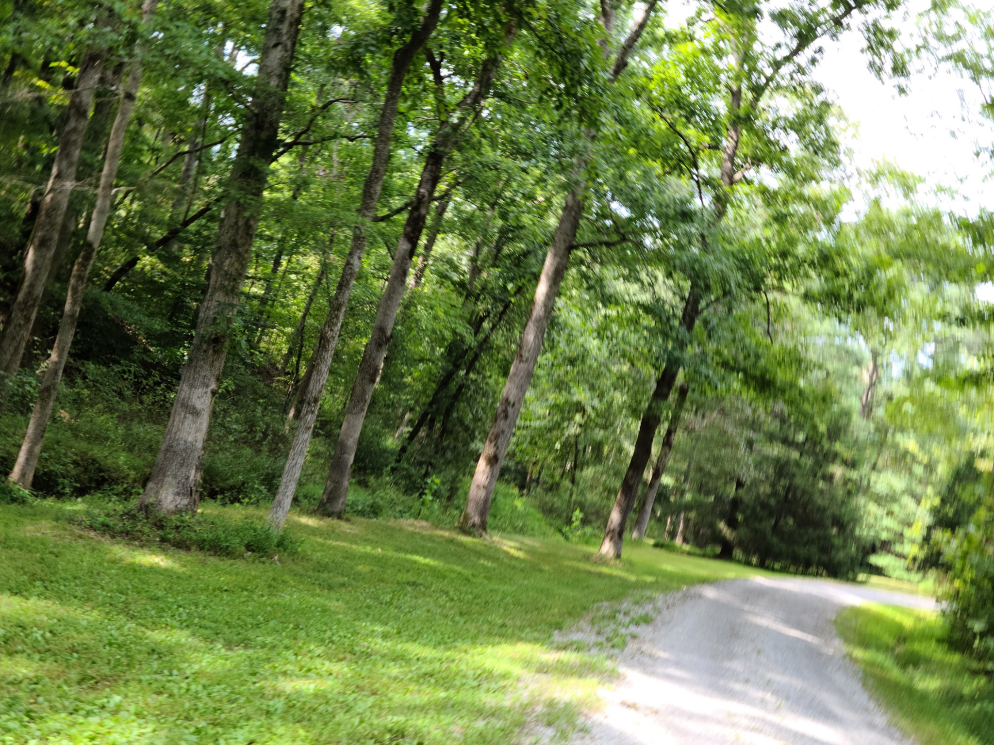 140 Neighbors Road Hohenwald, TN 38462 - Photo 49 of 49 Gallery Image 49