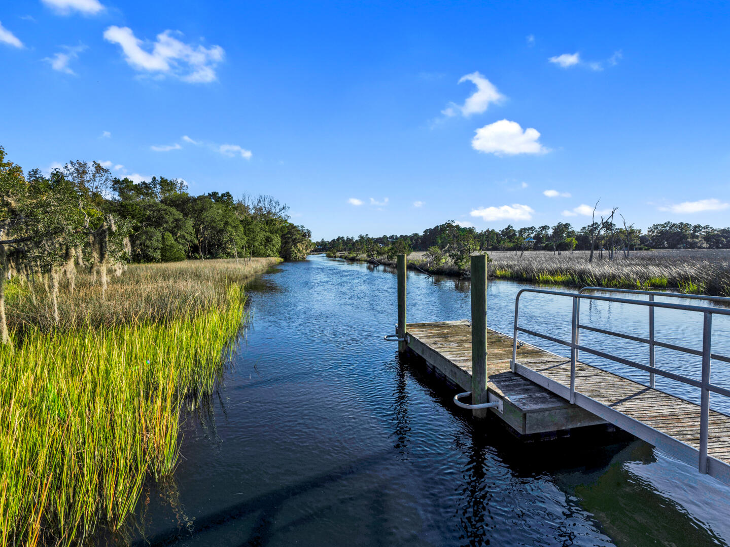1115 Bulow Point Road Johns Island, SC 29455 - Photo 13 of 40 Private Floater