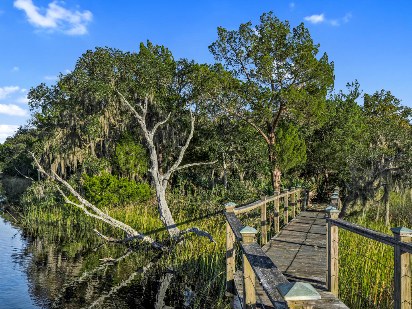1115 Bulow Point Road Johns Island, SC 29455 - Photo 15 of 40 1115 Bulow Point