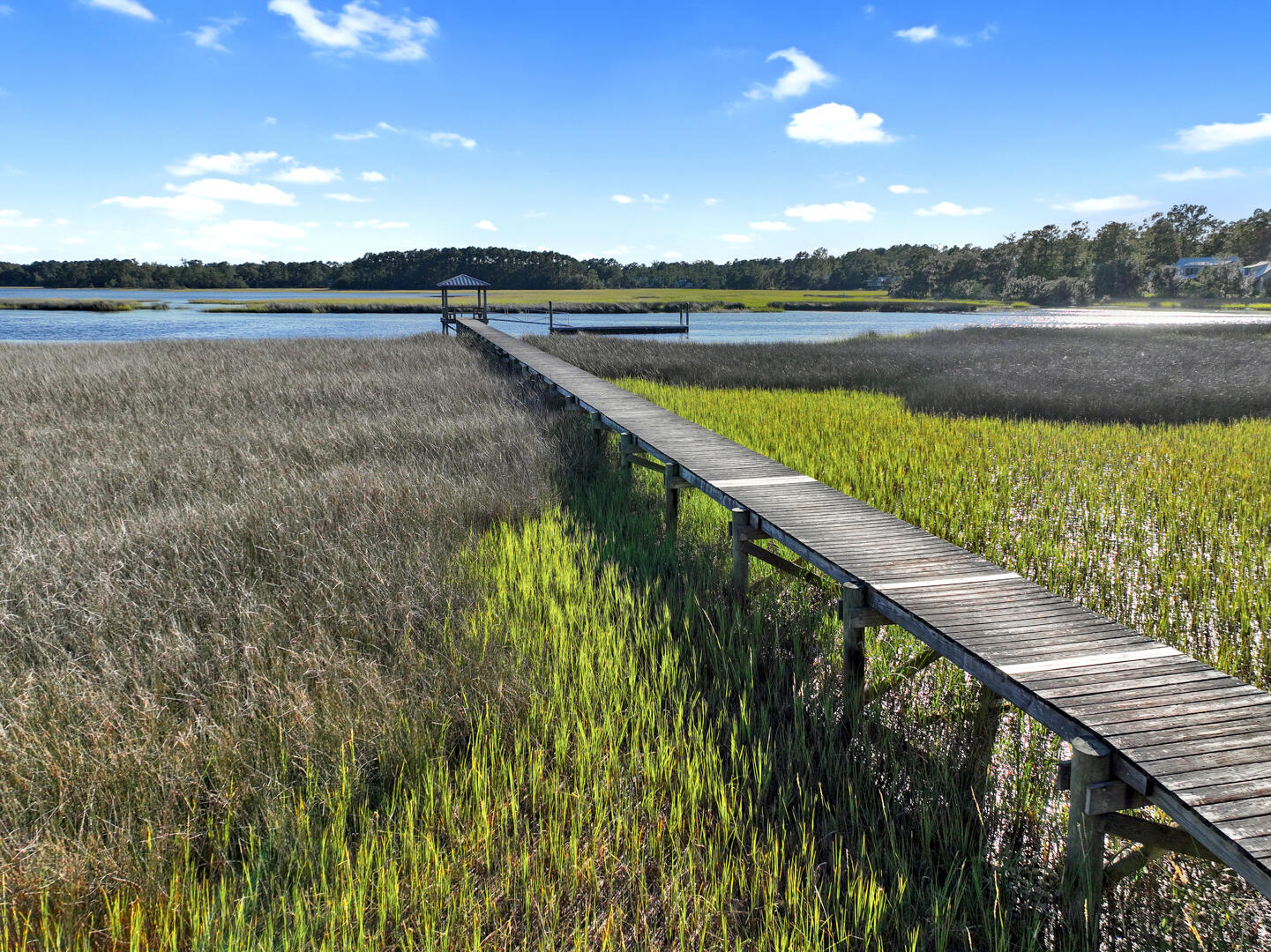 1115 Bulow Point Road Johns Island, SC 29455 - Photo 24 of 40 Community Dock
