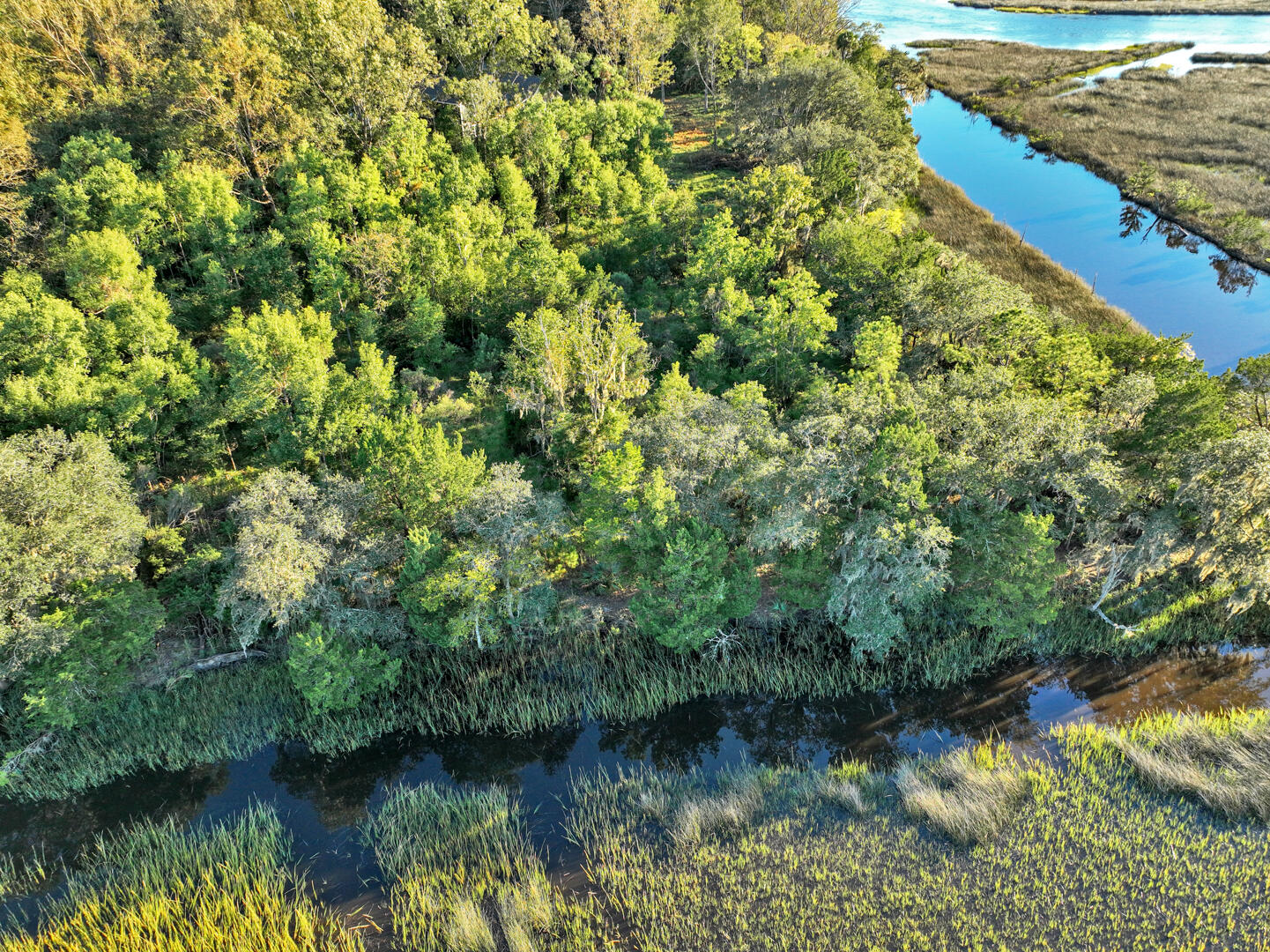 1115 Bulow Point Road Johns Island, SC 29455 - Photo 39 of 40 1115 Bulow Point