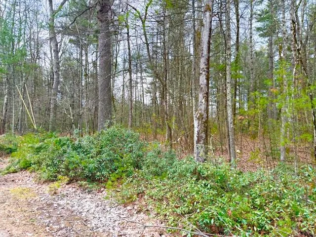 $79,000 | Lot 34-pine Kill Road Pine Kill Road, Wurtsboro, NY 12790
