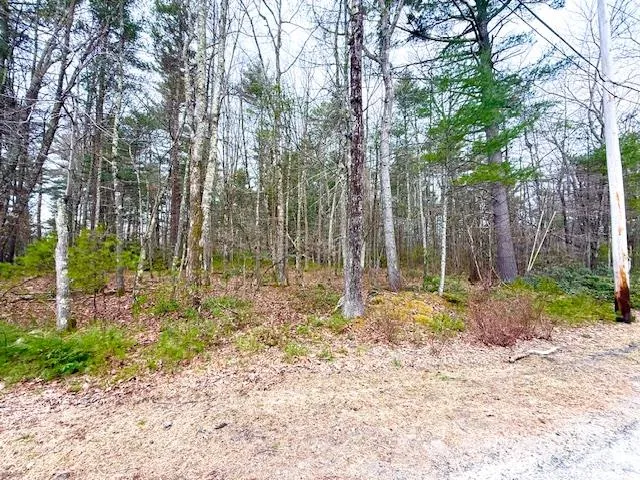 $79,000 | Lot 34-pine Kill Road Pine Kill Road, Wurtsboro, NY 12790