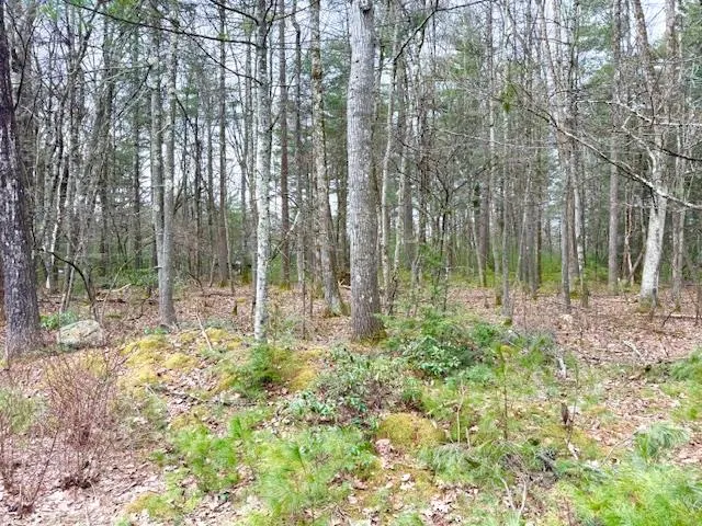 $79,000 | Lot 34-pine Kill Road Pine Kill Road, Wurtsboro, NY 12790