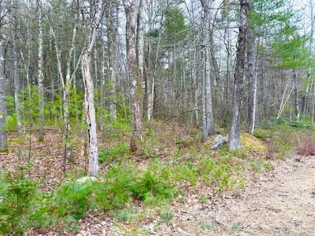$79,000 | Lot 34-pine Kill Road Pine Kill Road, Wurtsboro, NY 12790