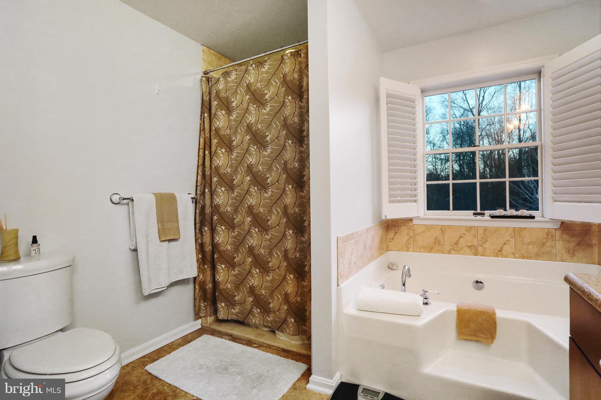 24556 Raven Rock Road Smithsburg, MD 21783 - Photo 17 of 30 Bath (Master)