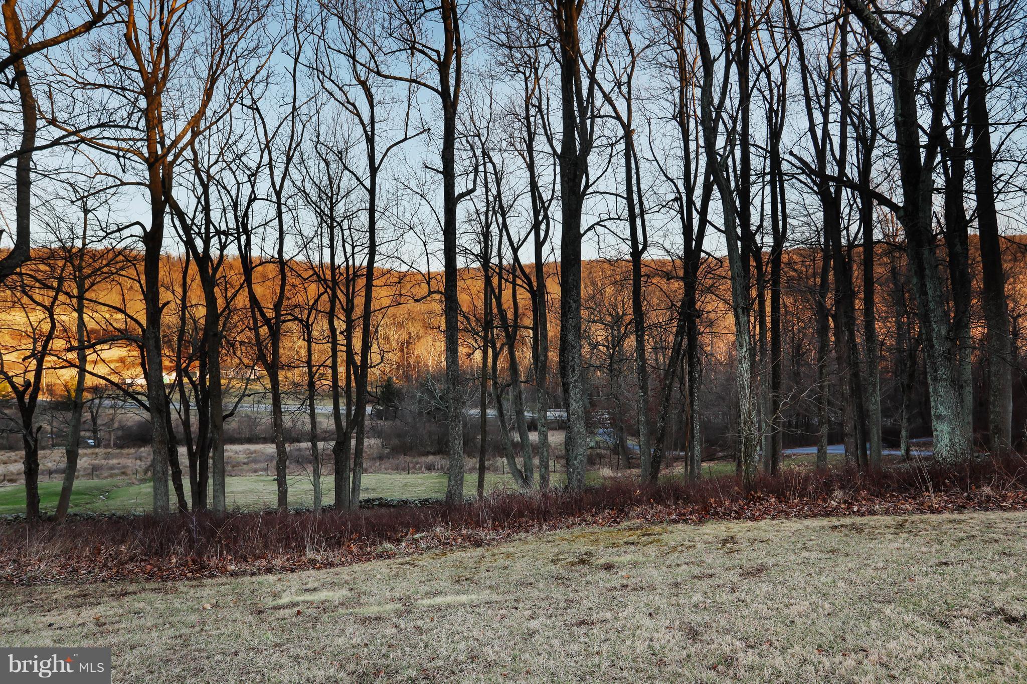 24556 Raven Rock Road Smithsburg, MD 21783 - Photo 30 of 30 View